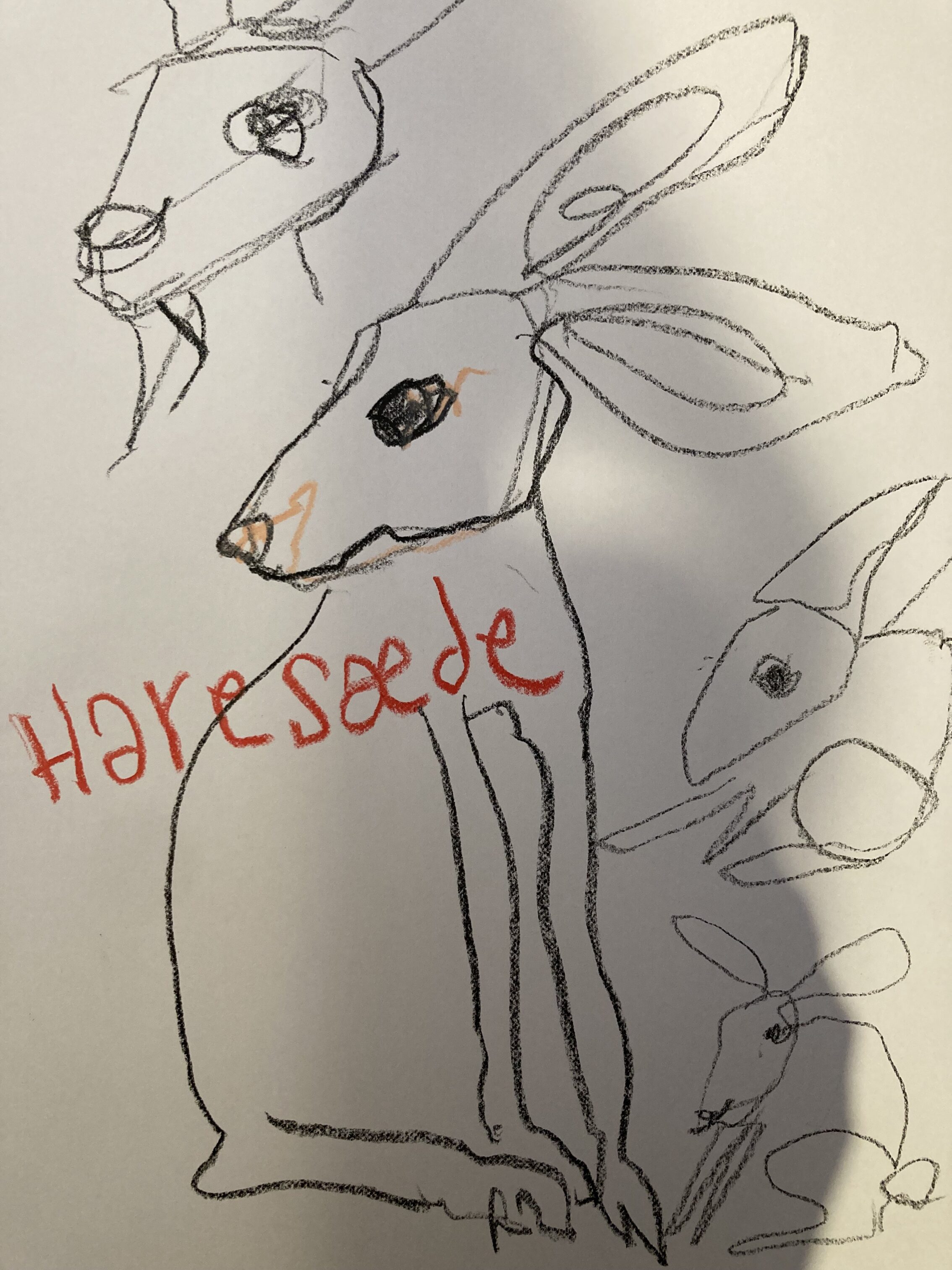 10 hvad skal vi redde bettinak