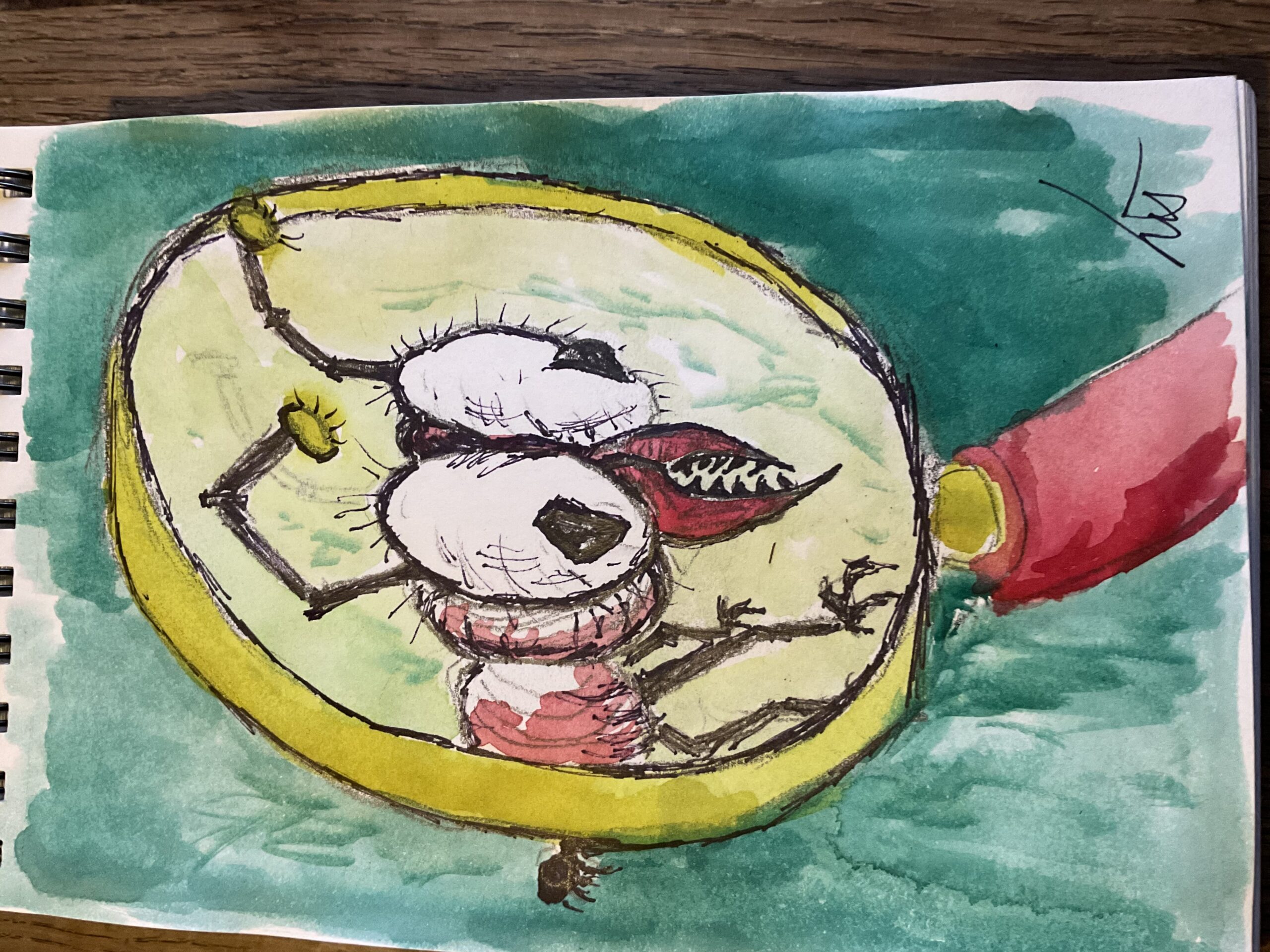 12 en lille myr blir en stor fyr i et forstørrelsesglas lis