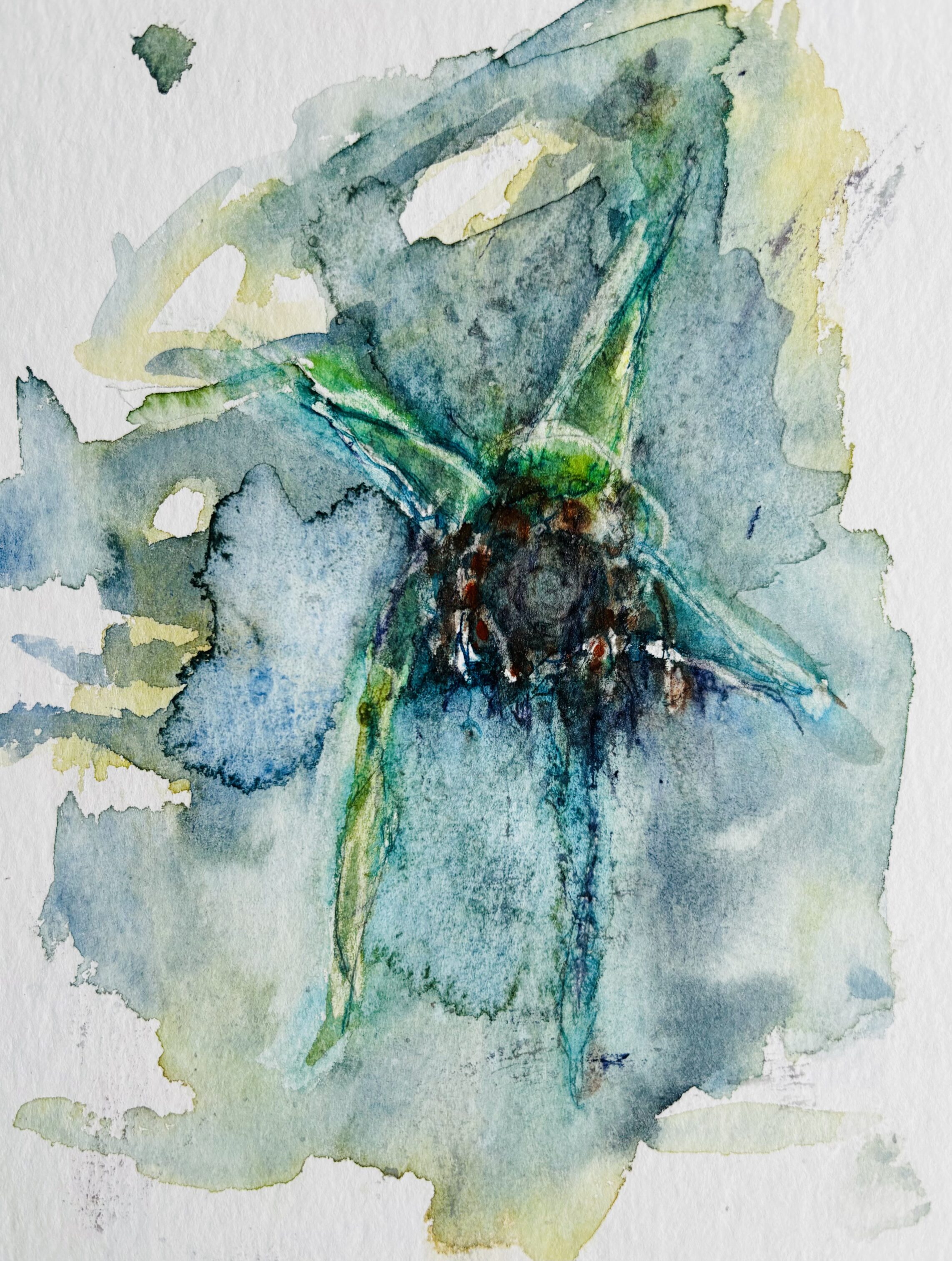22 vild afblomstring birgitte greve