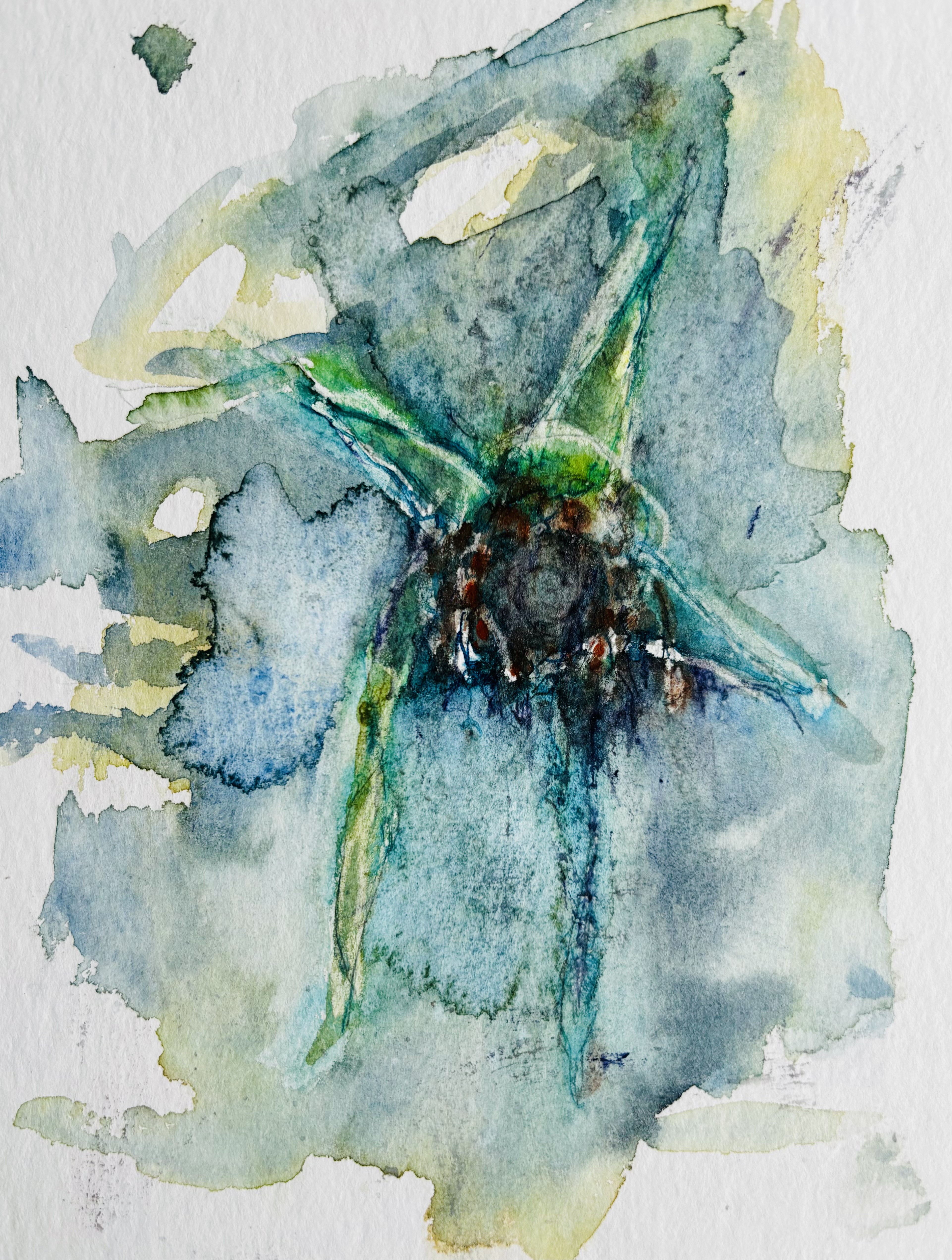 22 vild afblomstring birgitte greve